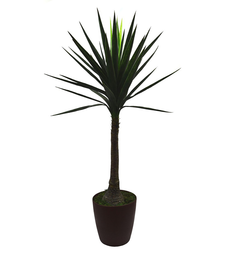Fourwalls Yucca Floor Plant by Fourwalls Online Artificial Plants