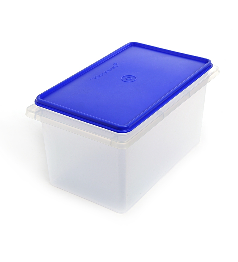 Tupperware 5 Kg Rice / Flour/ Aata/ Wheat Keeper / Multikeeper by