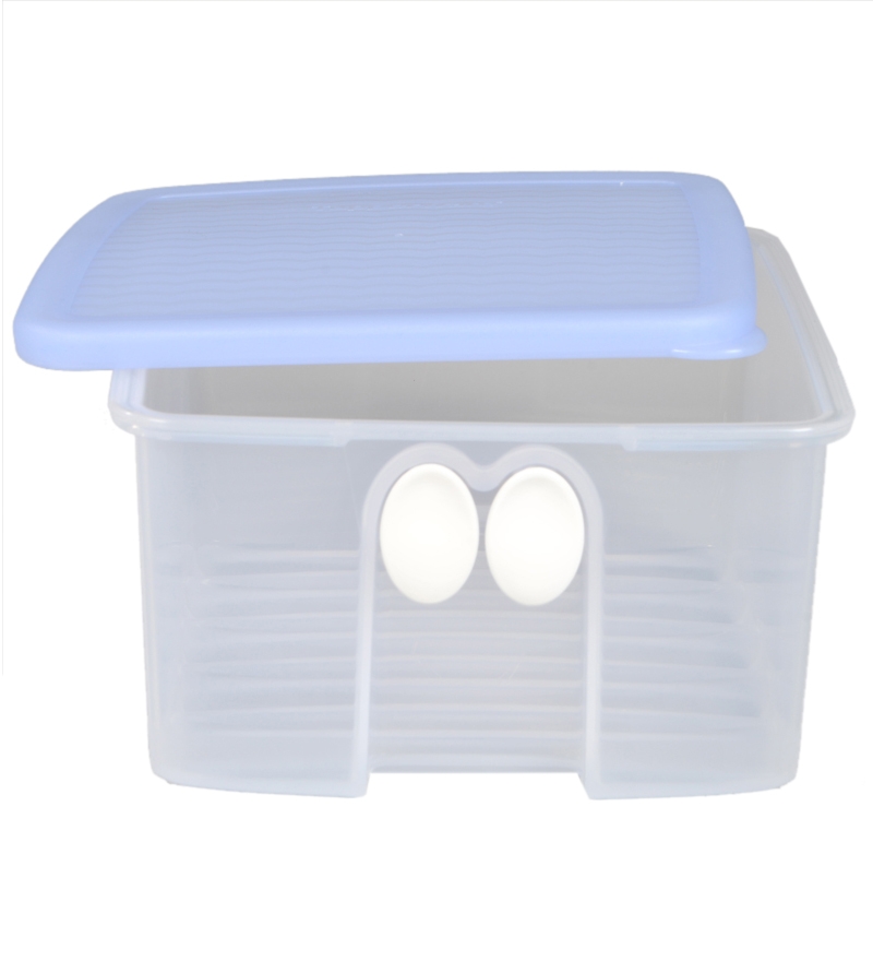 Tupperware Fridge Smart by Tupperware Online Airtight Storage