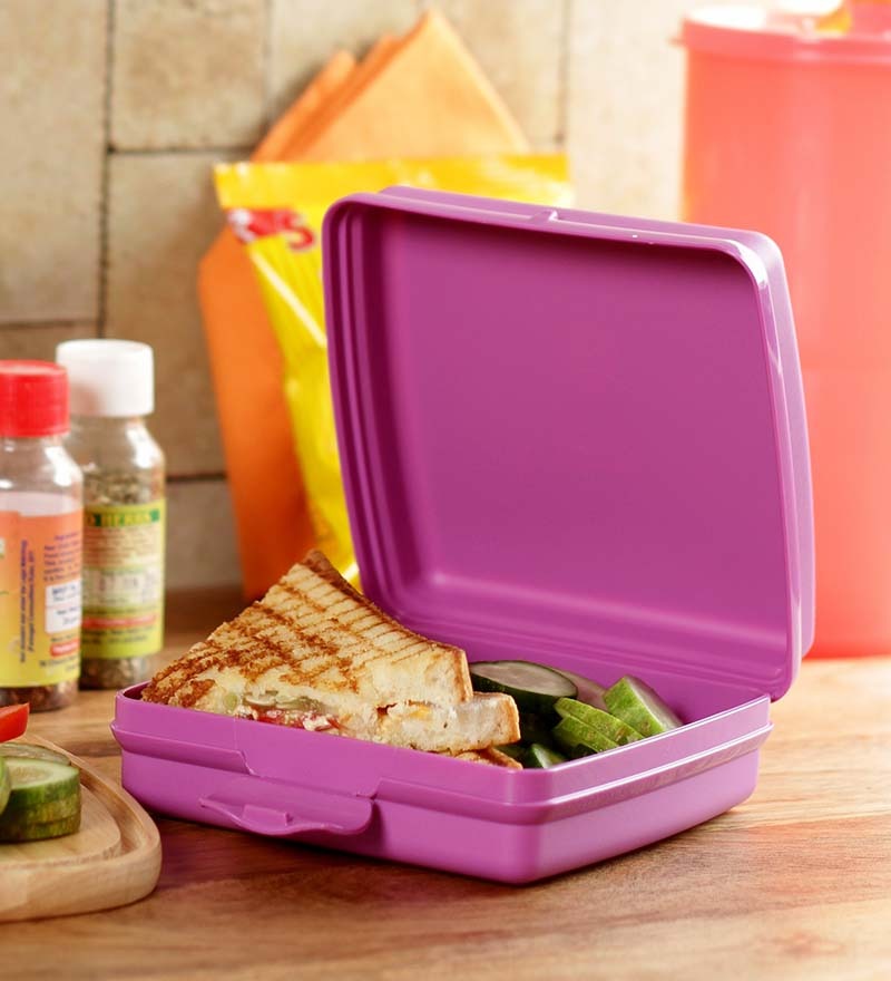 Tupperware 1 Pc Penguin Sandwich Keeper 300 ml by Tupperware Online