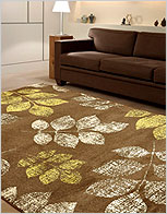 Rugs & Carpets  