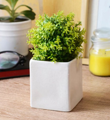 White Ceramic Square Table Top Pot by Decardo