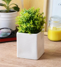 White Ceramic Square Table Top Pot by Decardo 