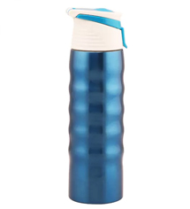 Easy Carry Stainless Steel Sipper Bottle 