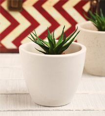 White Ceramic Table Top Planter by Decardo 