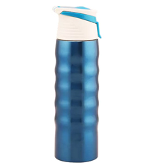 Easy Carry Stainless Steel Sipper Bottle 